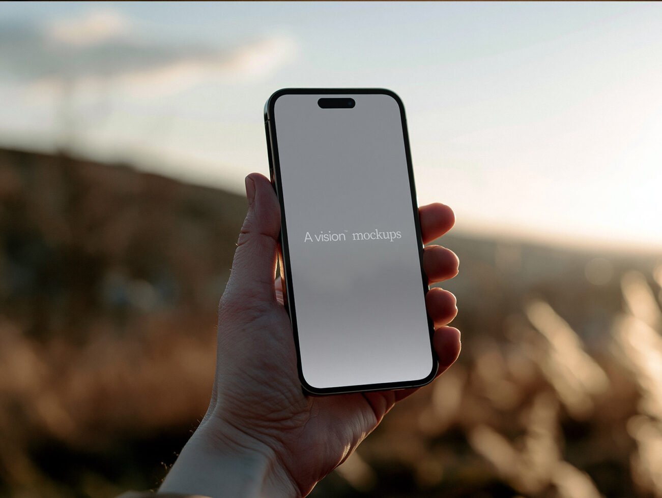 Phone 2 preview 3