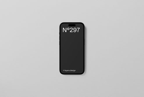 N°297