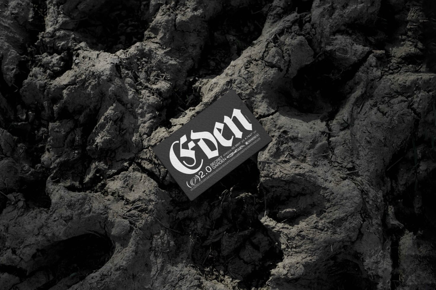 EDEN 02 BUSINESS CARD MOCKUP 19