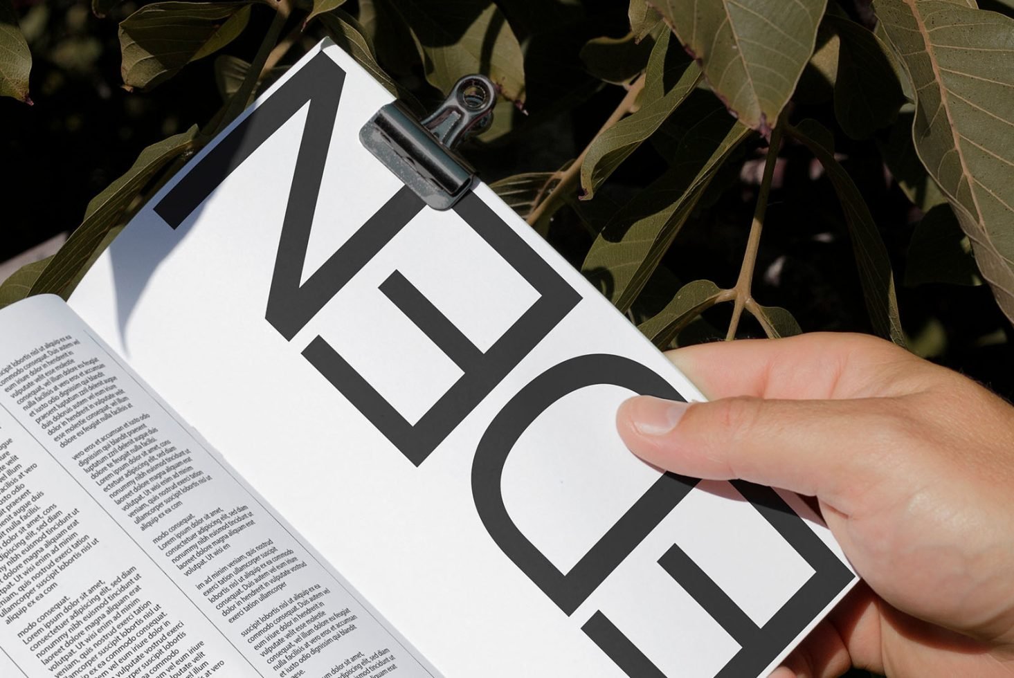 Book Mockup Eden 04 preview 2