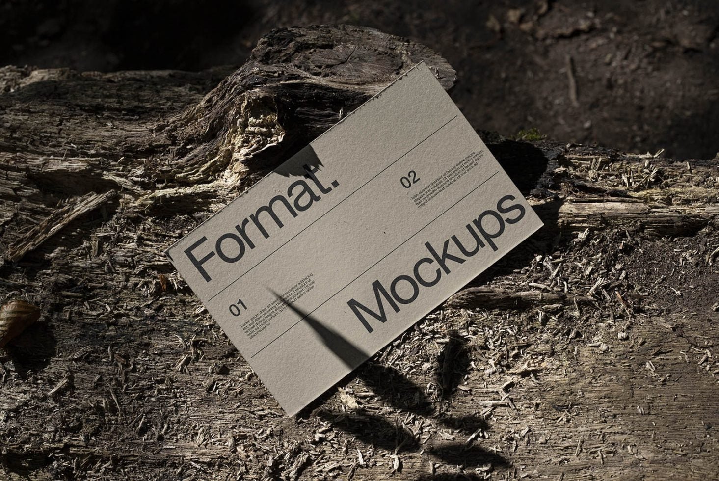 Format Card Mockup 07