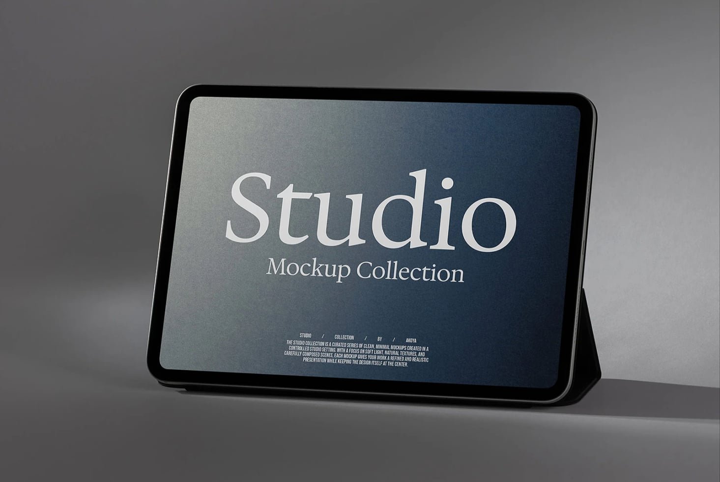 iPad Mockup 012