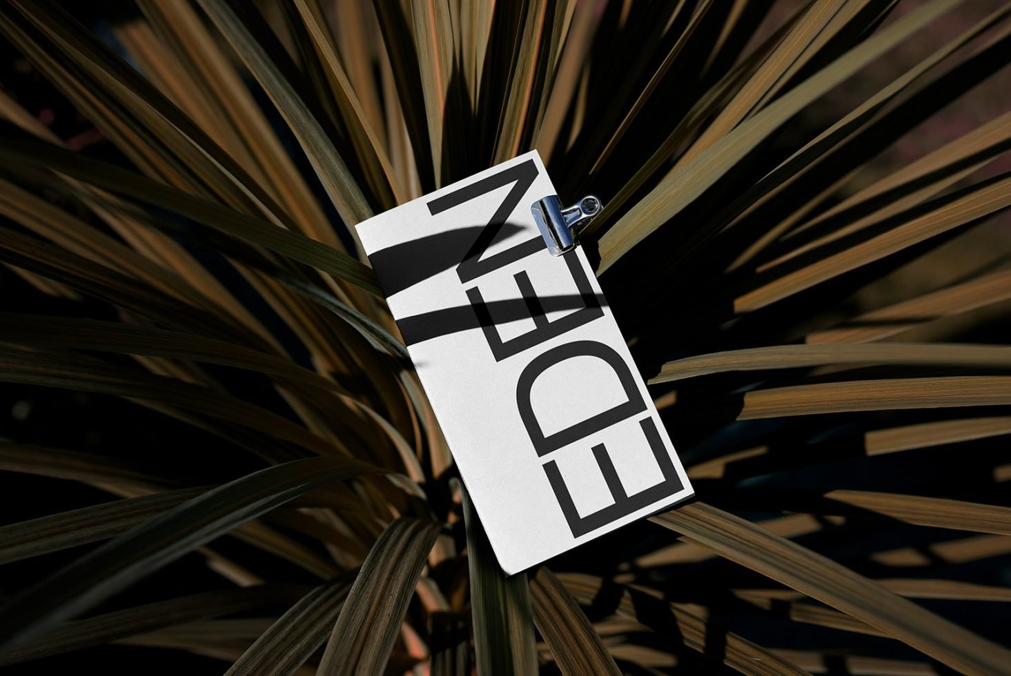Book Mockup Eden 05 preview 3