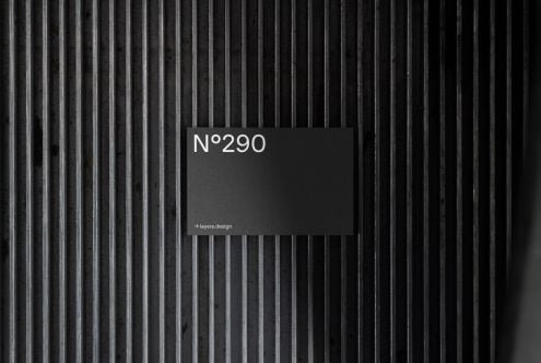 N°290