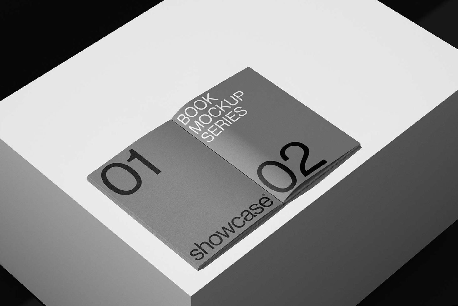 365G08_Book Folder Mockup