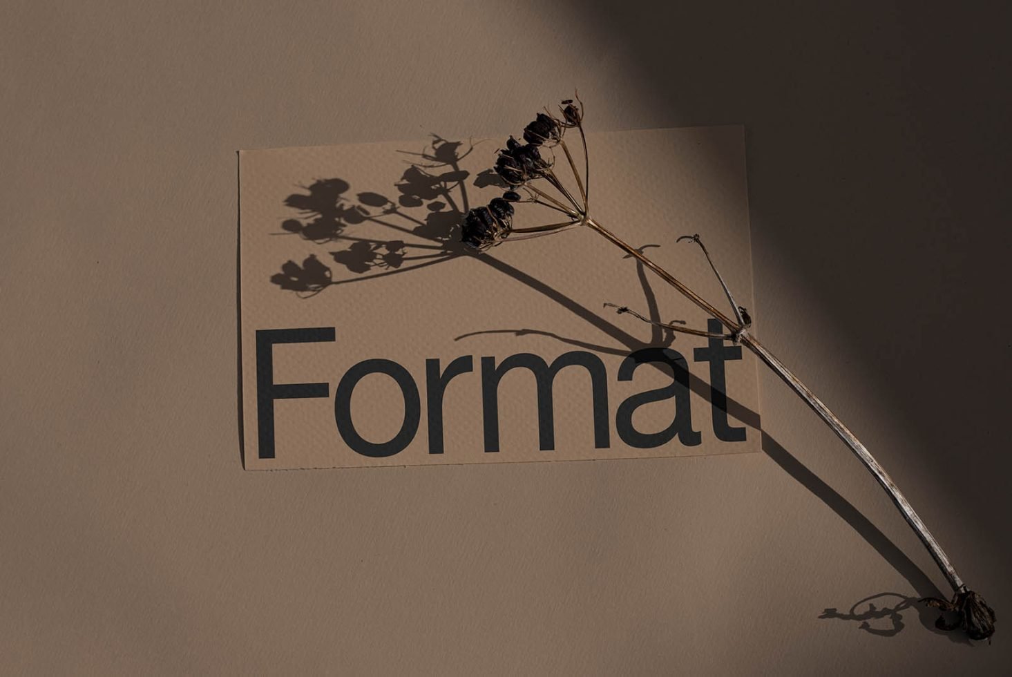 Format Card Mockup 03