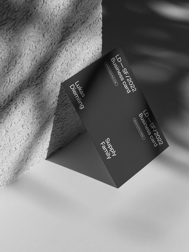 Business Card 09 Mockup