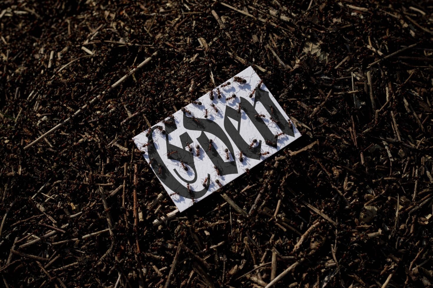 EDEN 02 BUSINESS CARD MOCKUP 18
