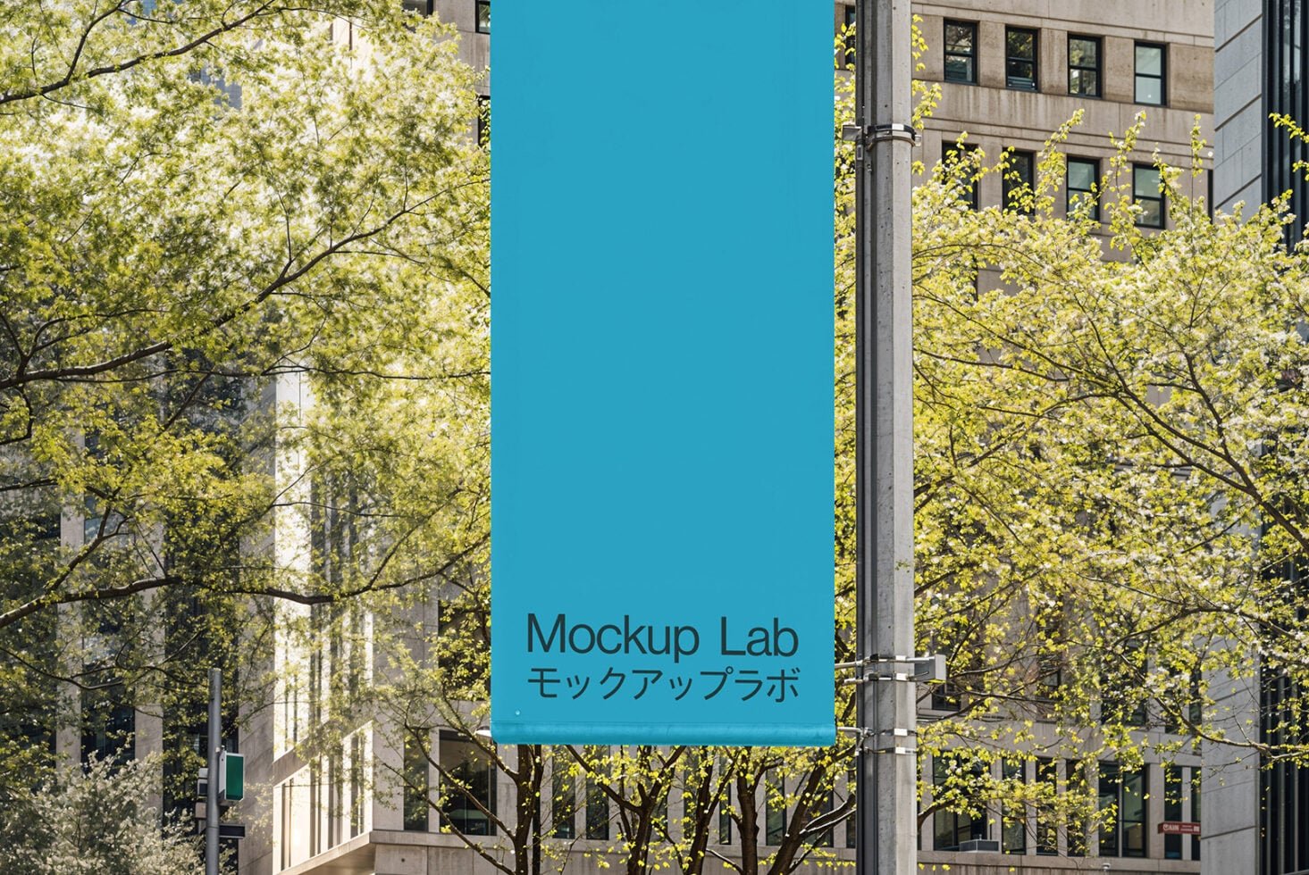 Flag 01ML Mockup preview 3