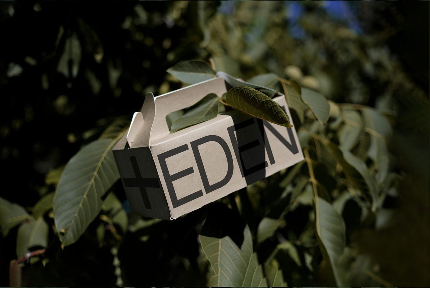Small Eco Box Mockup Eden 02