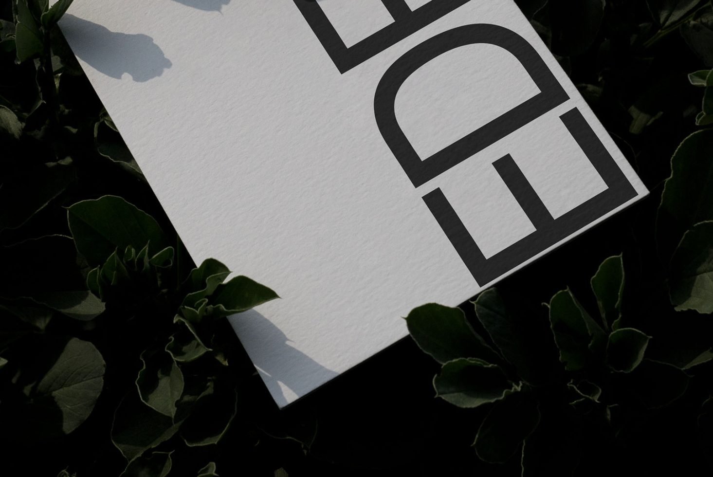 Poster Mockup Eden 02 preview 2