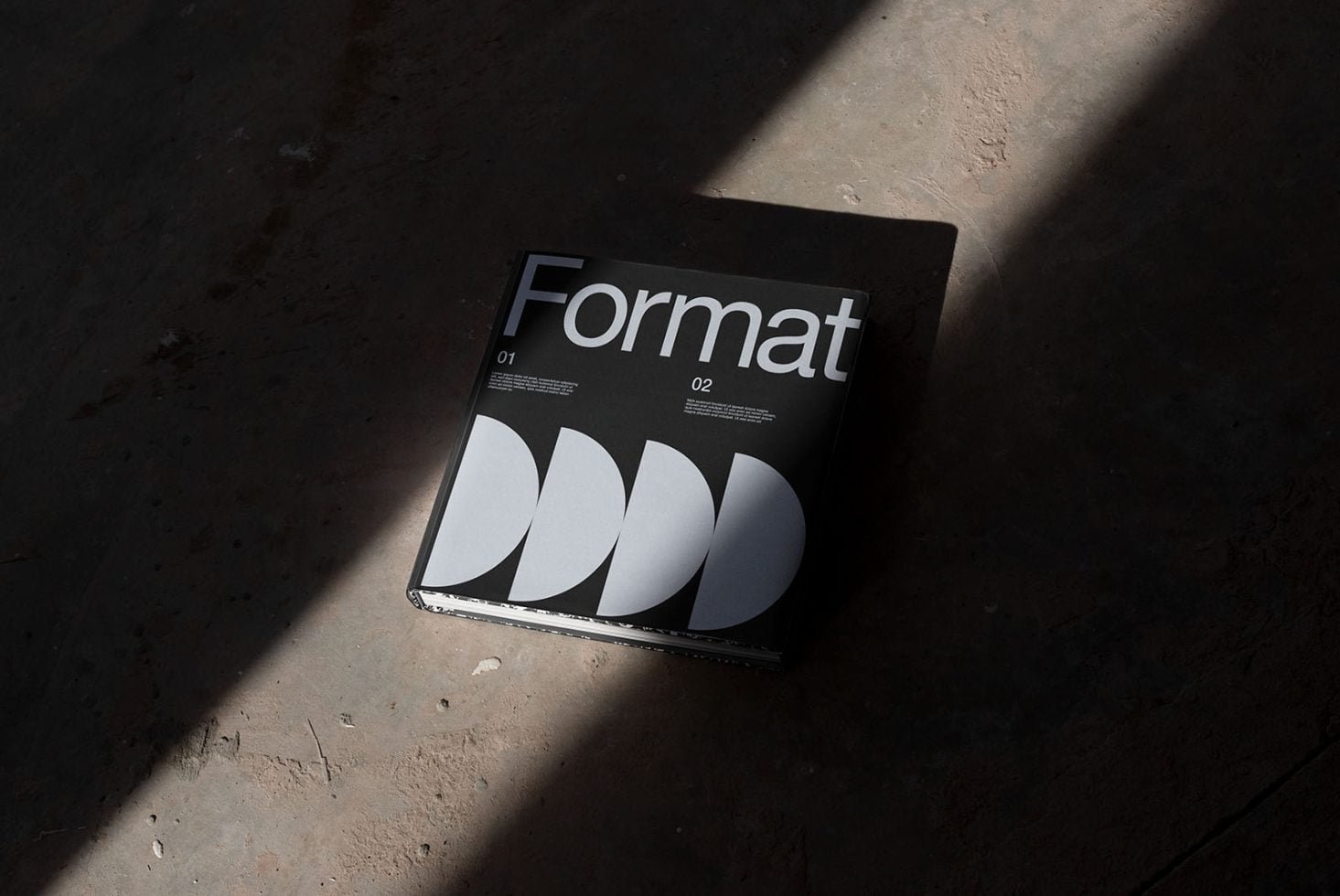 Format B2 Book Mockup 05