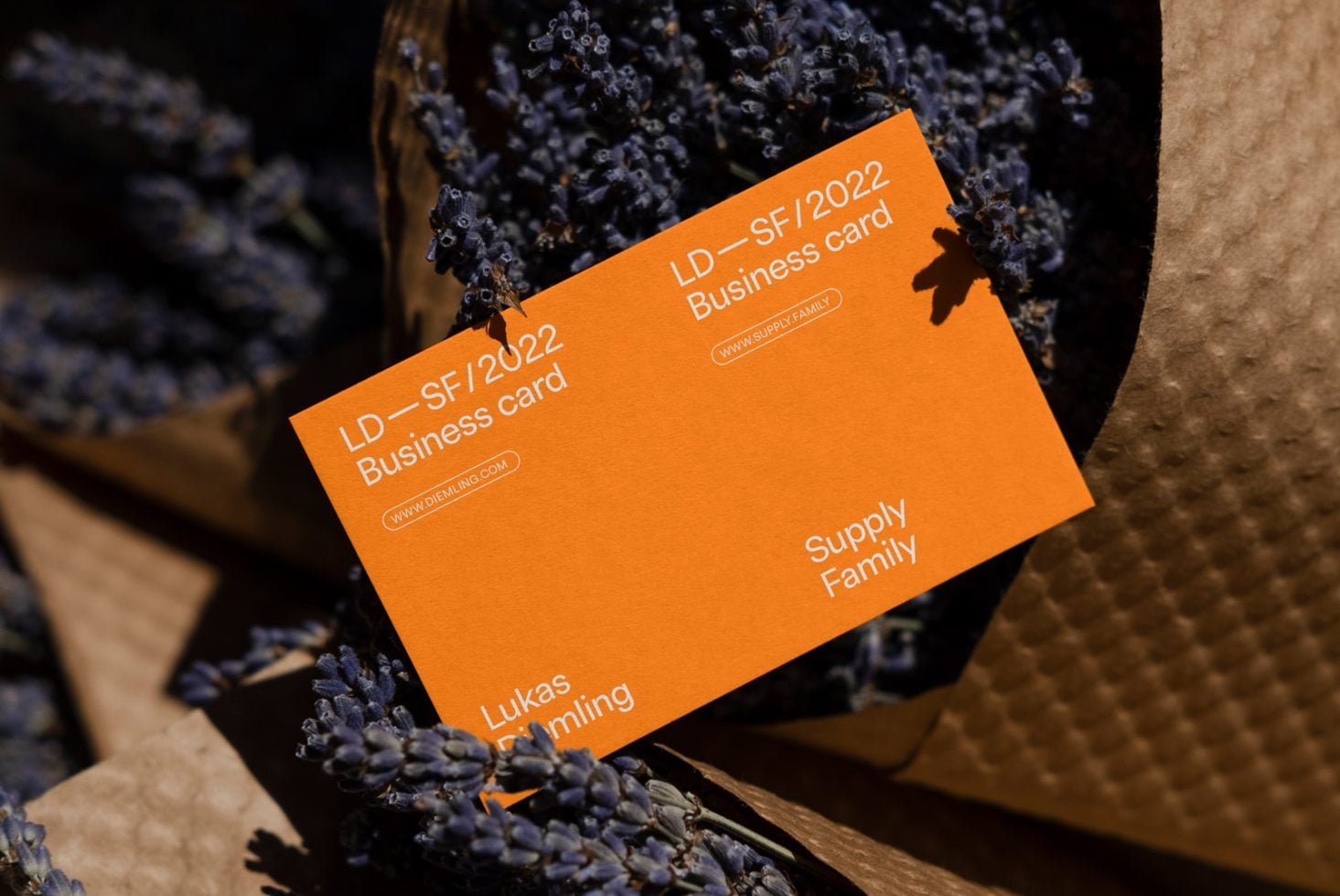 Business Card 08 Mockup preview 2