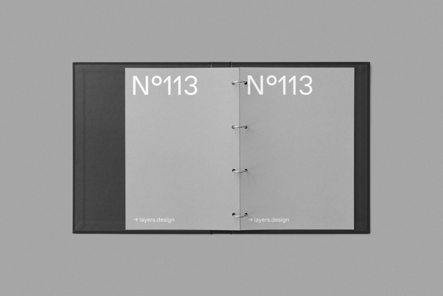 N°113 preview 2