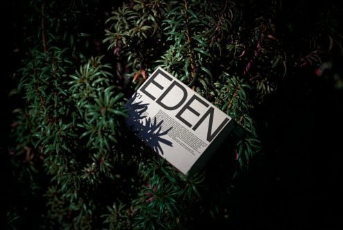 Eco Box Mockup Eden 01
