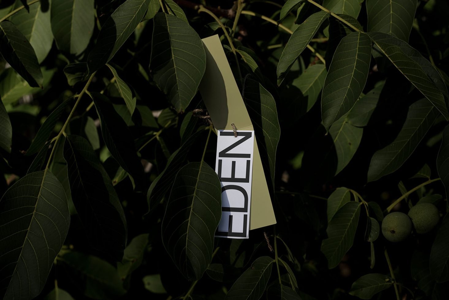 Tag Mockup Eden 01 preview 3