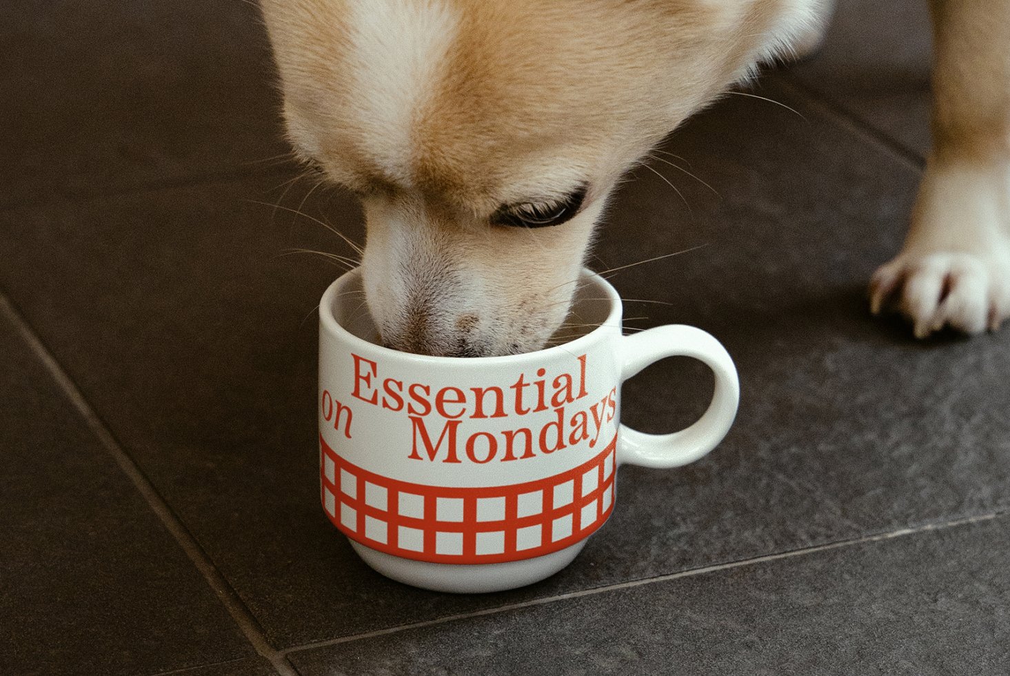 S#1 EoM Cup 03 Mockup preview 2