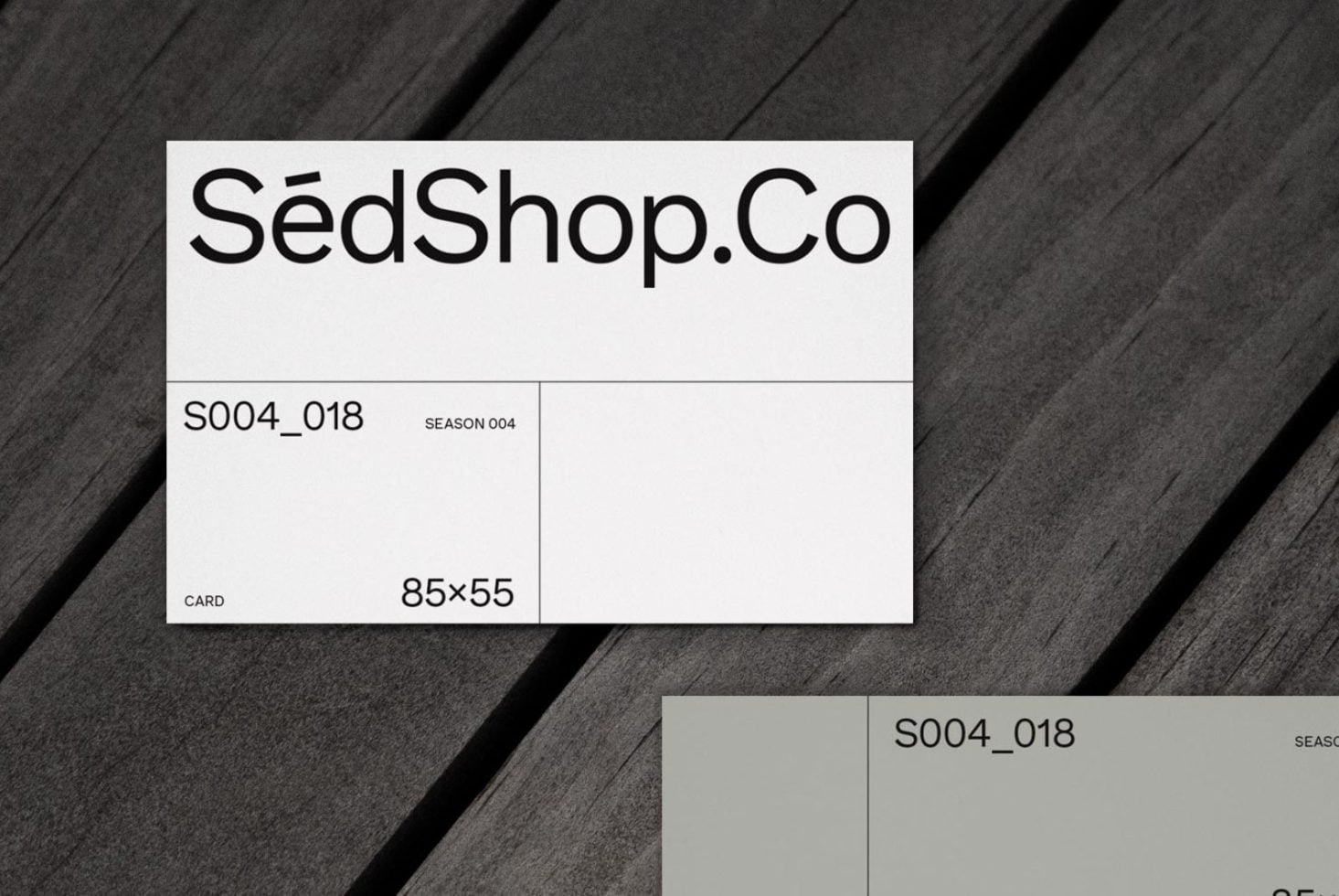 Business Card S04 Mockup 018