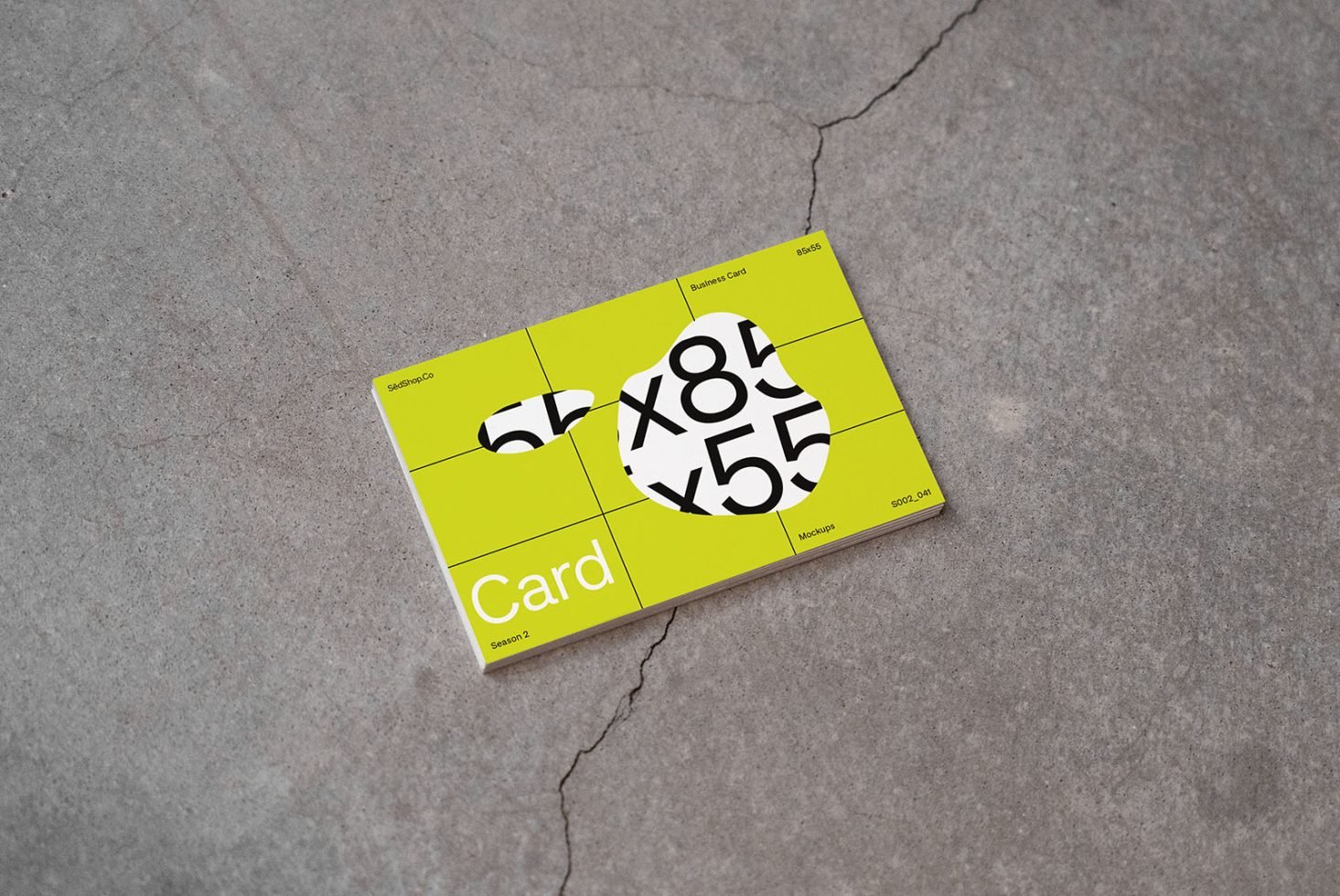 Business Card S2 041 Mockup