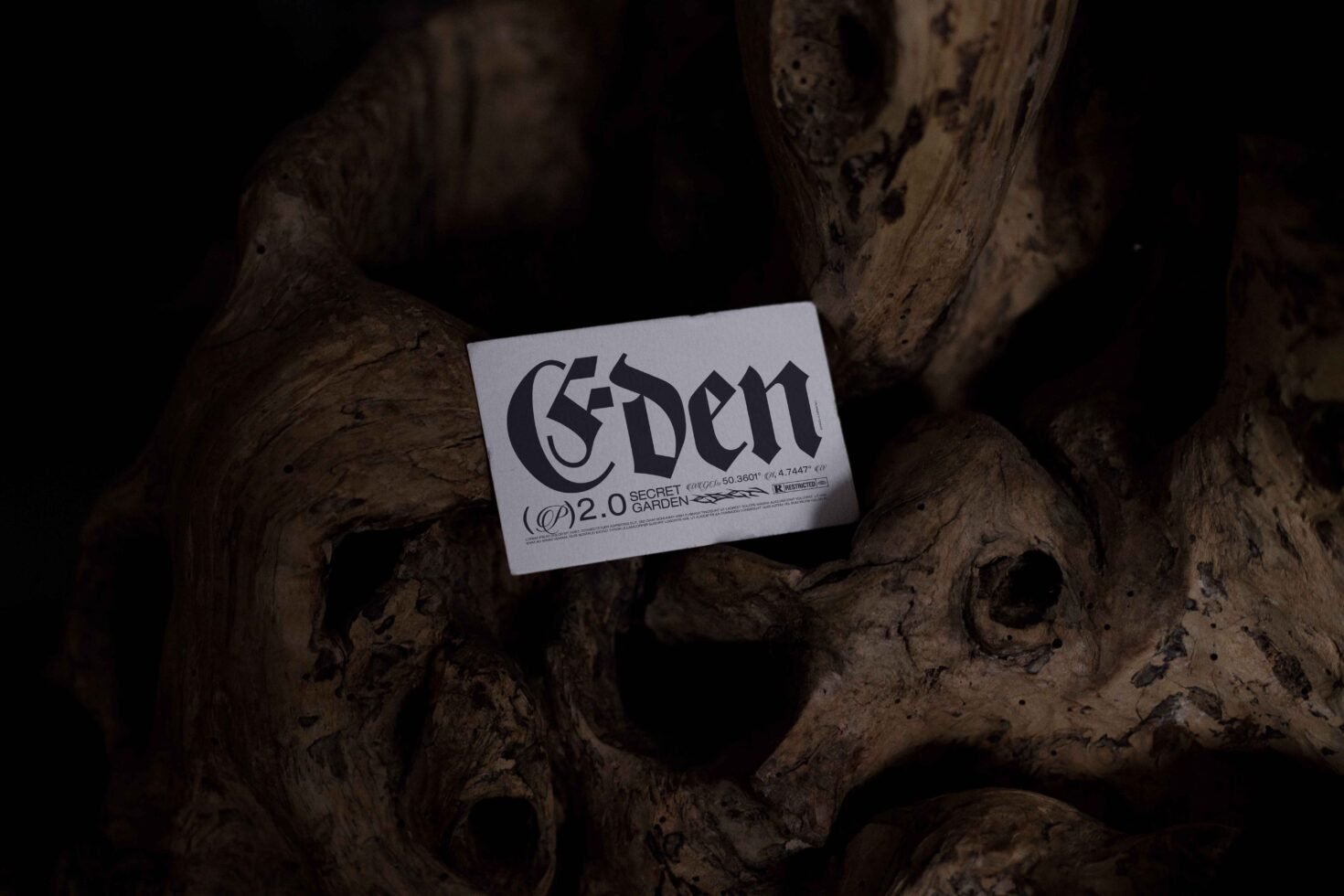 EDEN 02 BUSINESS CARD MOCKUP 09