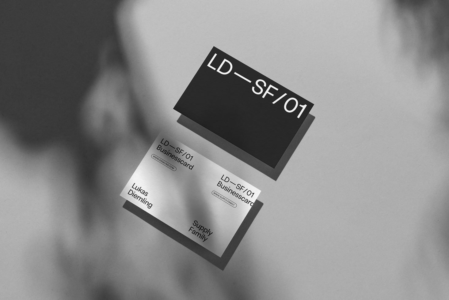 Print Mockup Collection LD VOL I preview 8