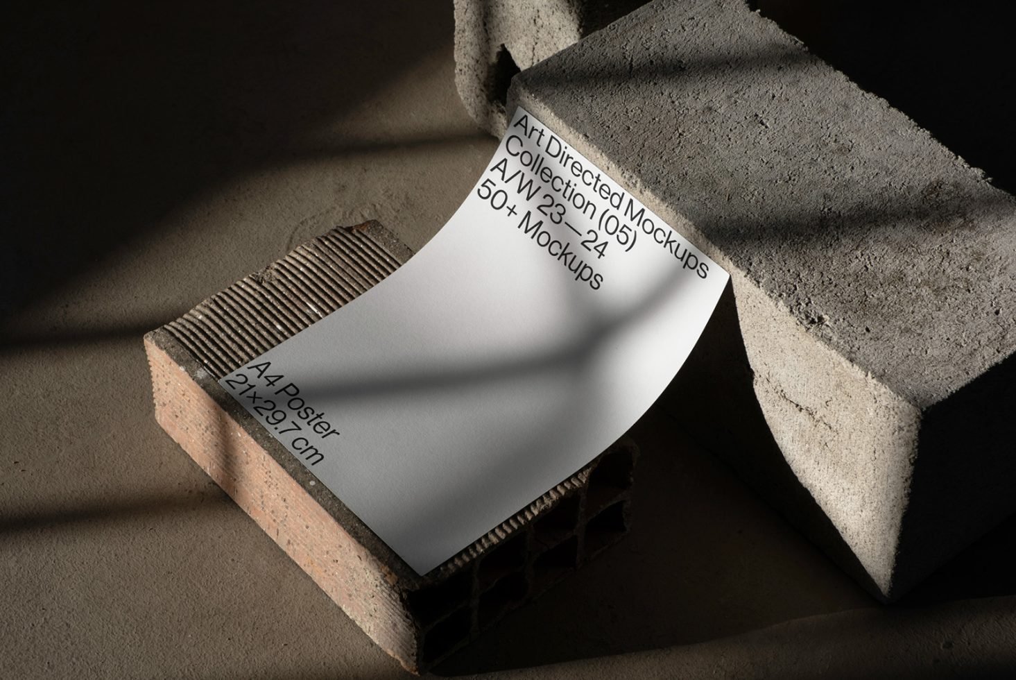 Print C05 Mockup 041