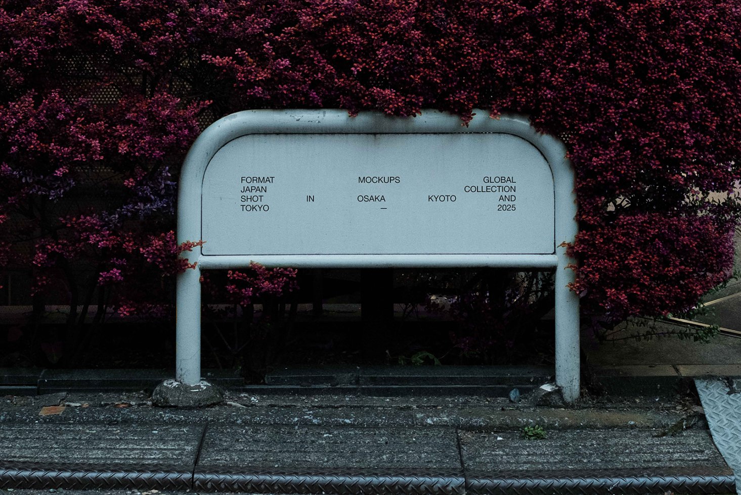 JAPAN SIGNAGE 31