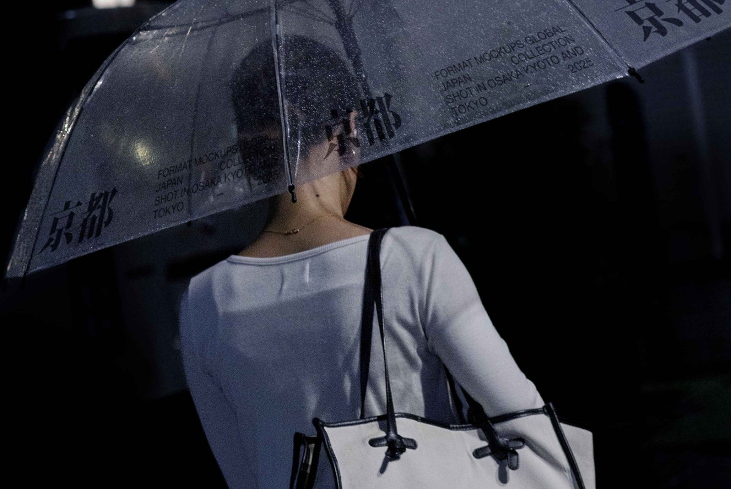 JAPAN UMBRELLA 01 preview 2
