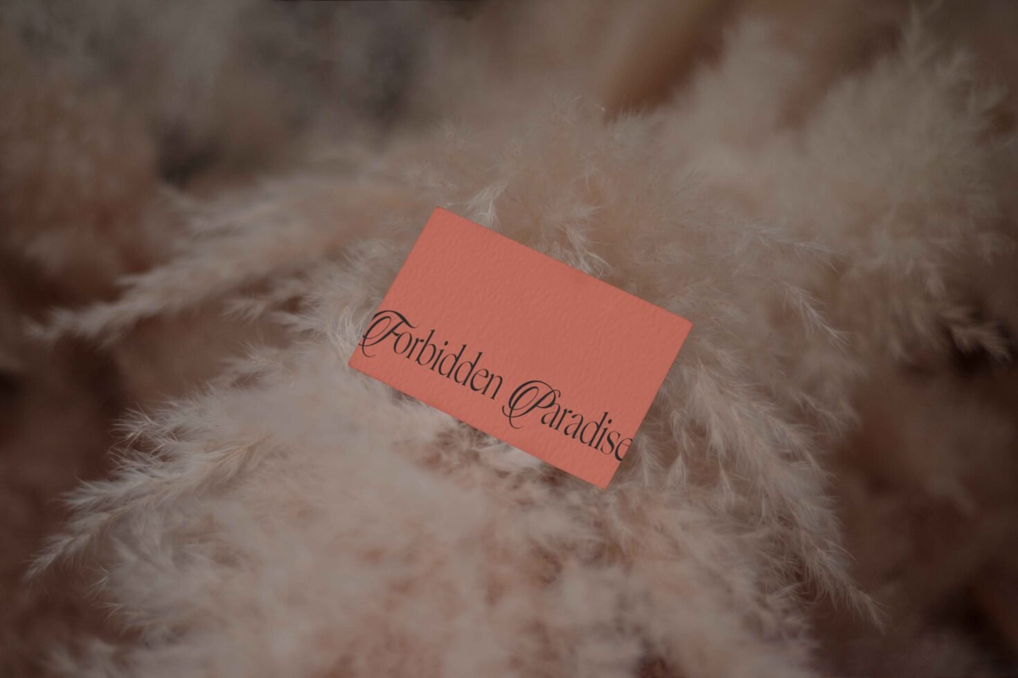 EDEN 02 BUSINESS CARD MOCKUP 13