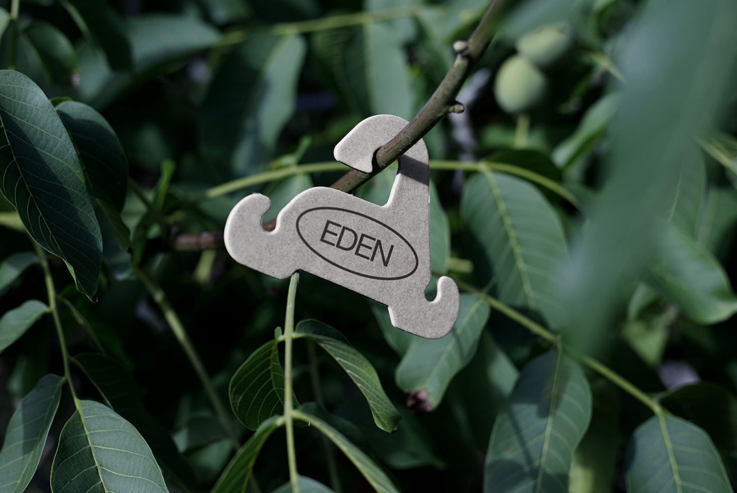 Eco Hanger Mockup Eden 01