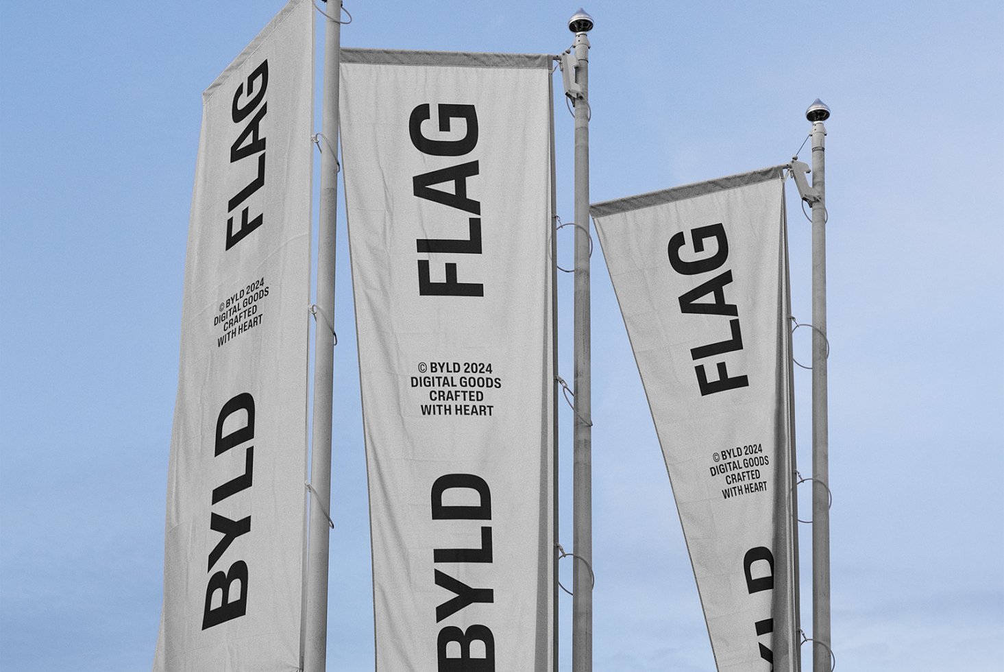 Flag 10 Mockup preview 2