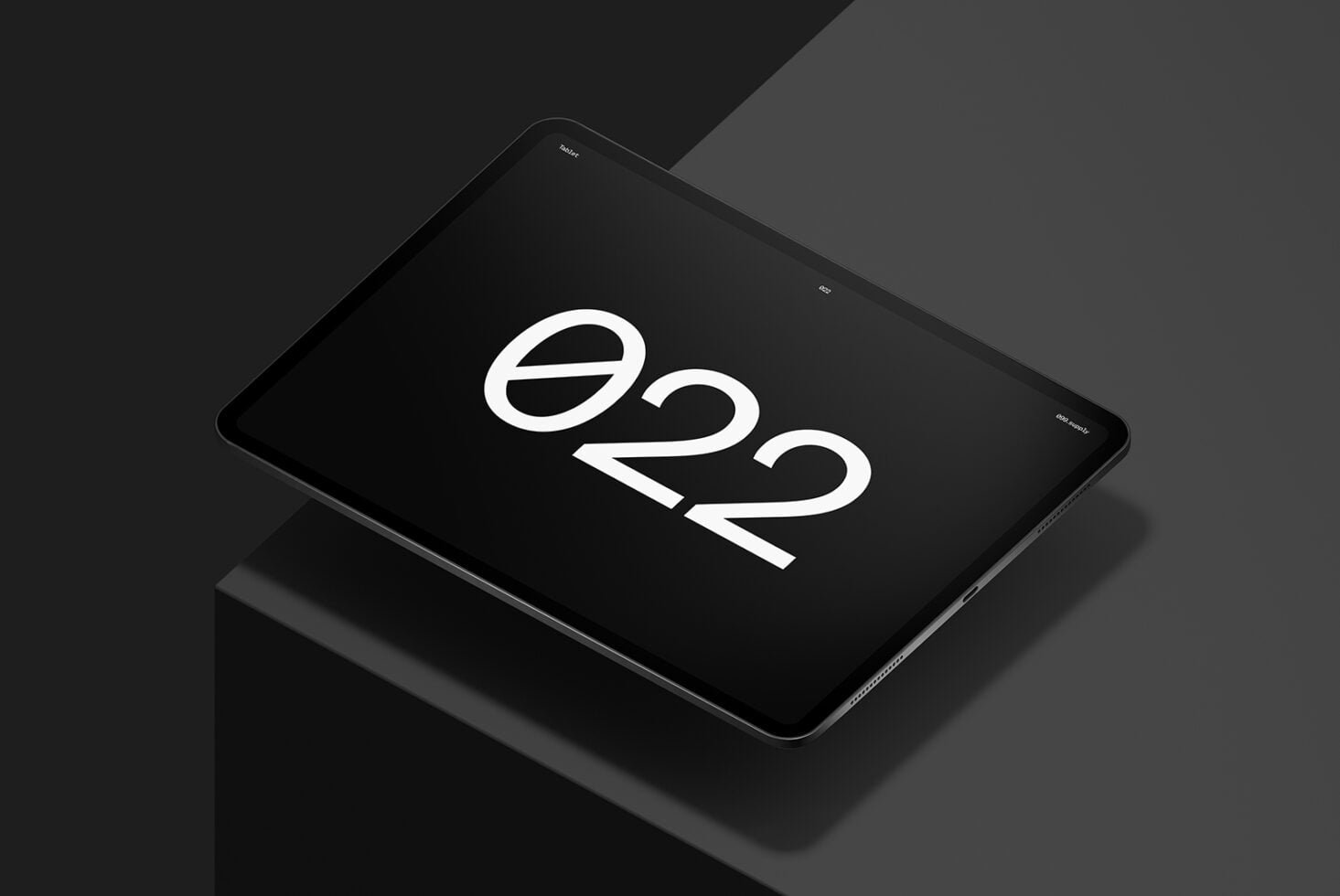 Tablet (iPad Pro)