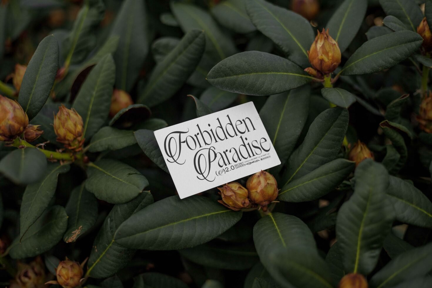 EDEN 02 BUSINESS CARD MOCKUP 02