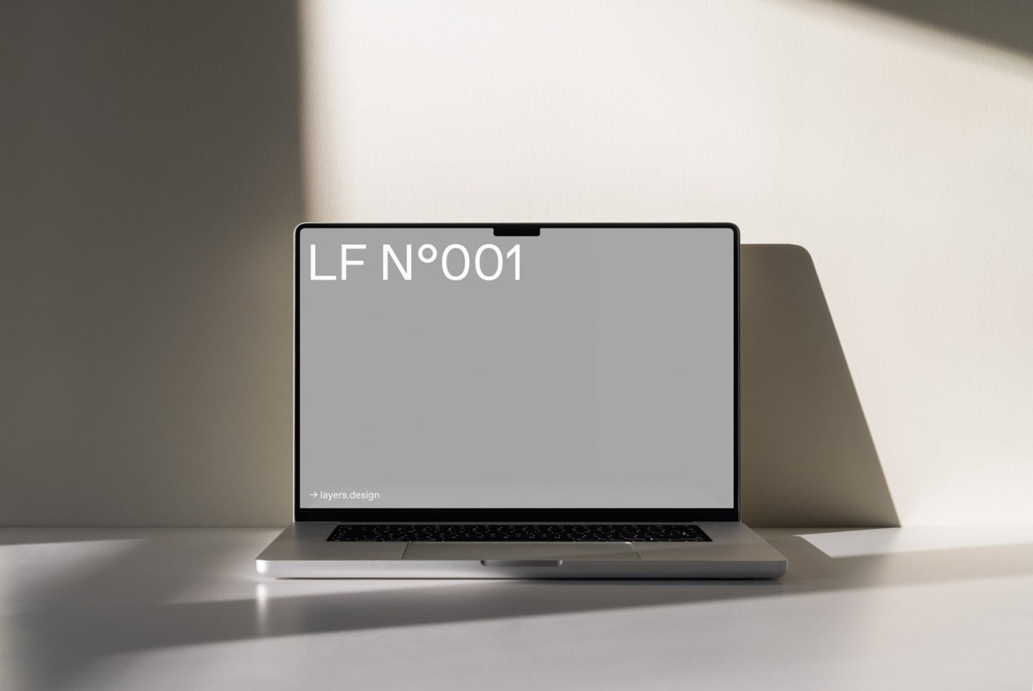 LF Nº001 preview 2