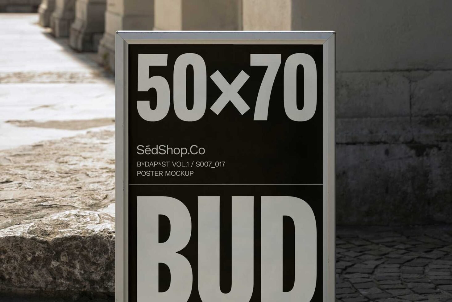 Poster Mockup S007-017 preview 3