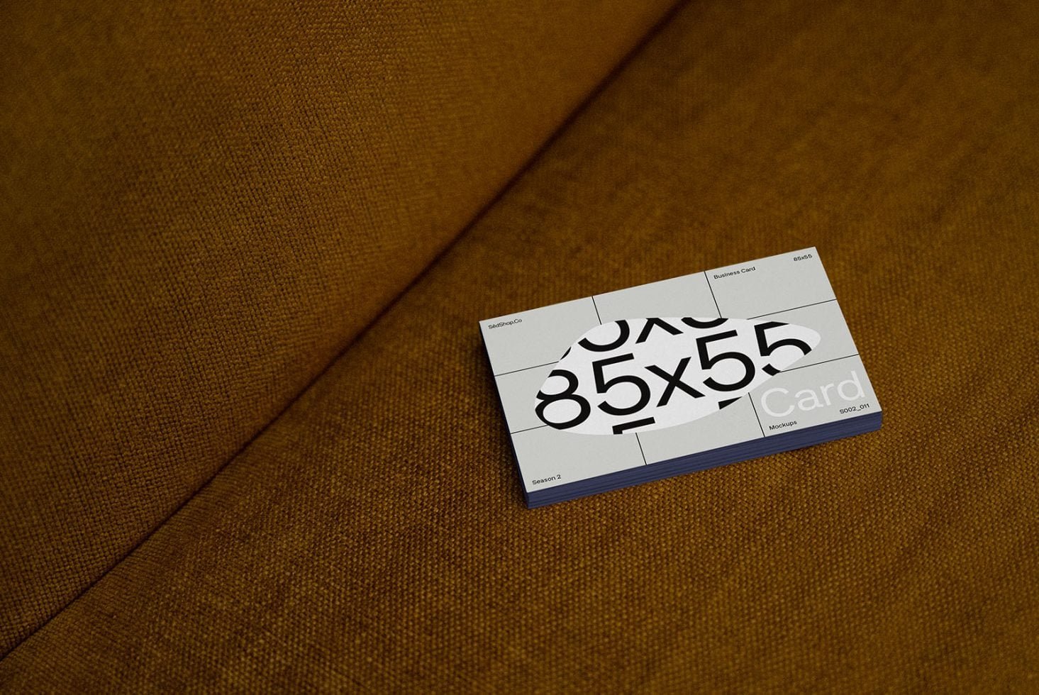 Business Card S2 011 Mockup