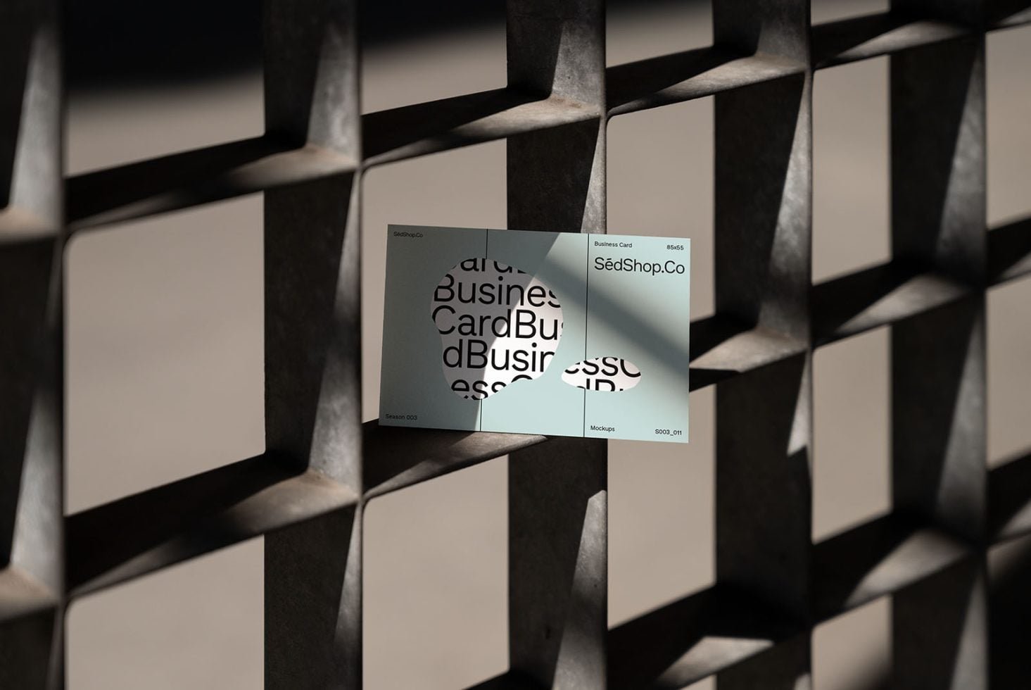 Business Card S3 011 Mockup