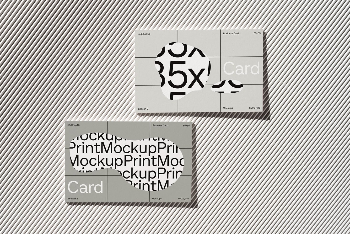 Business Cards S2 015 Mockup