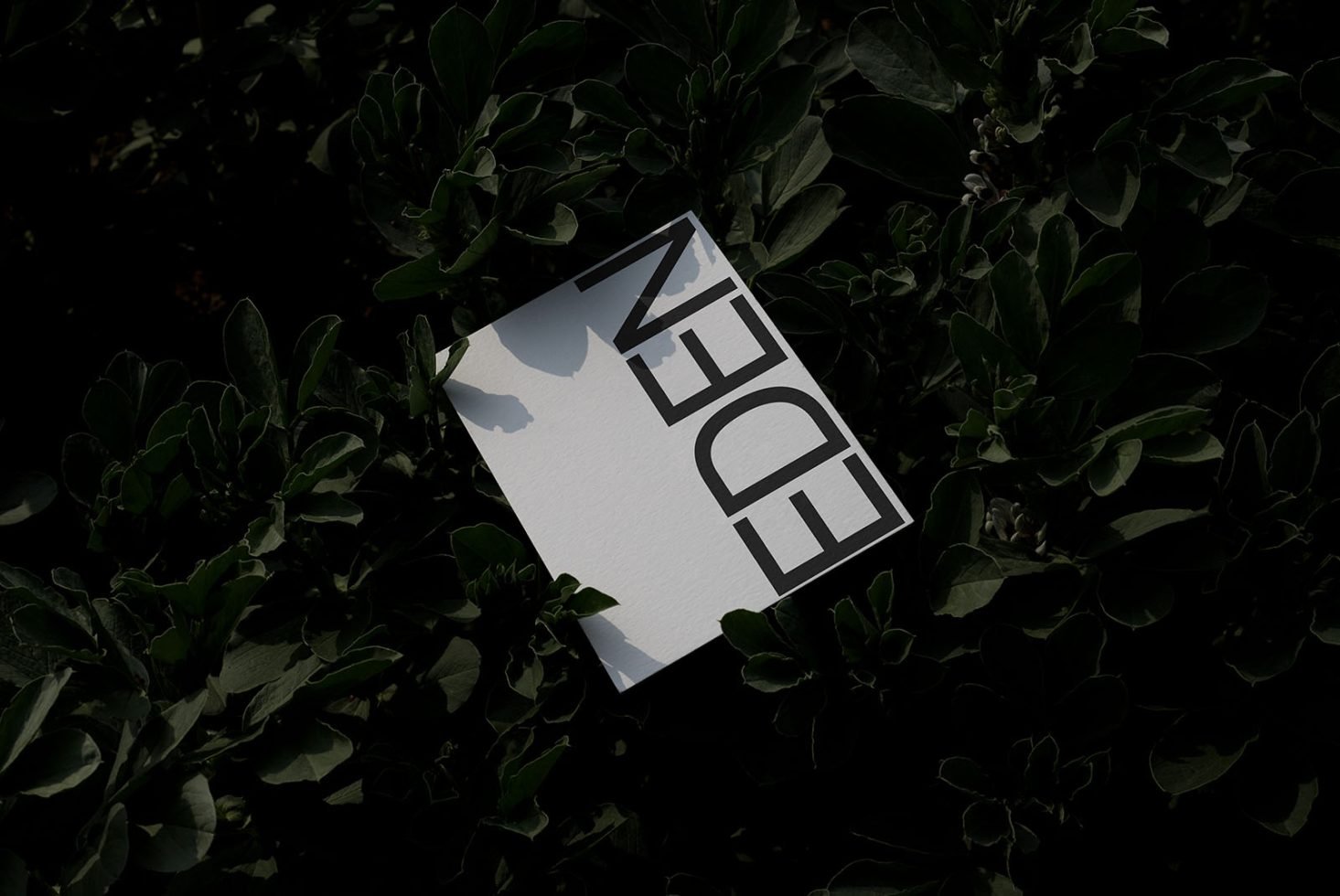 Poster Mockup Eden 02 preview 1
