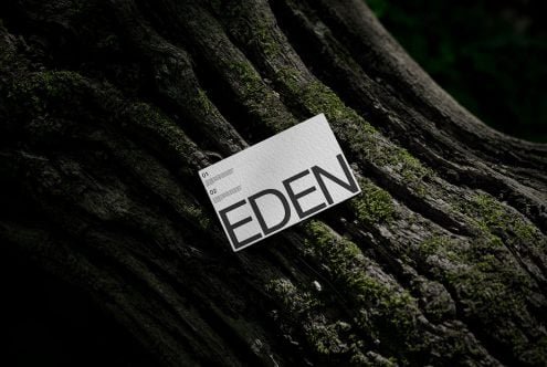 Business Card Mockup Eden 02
