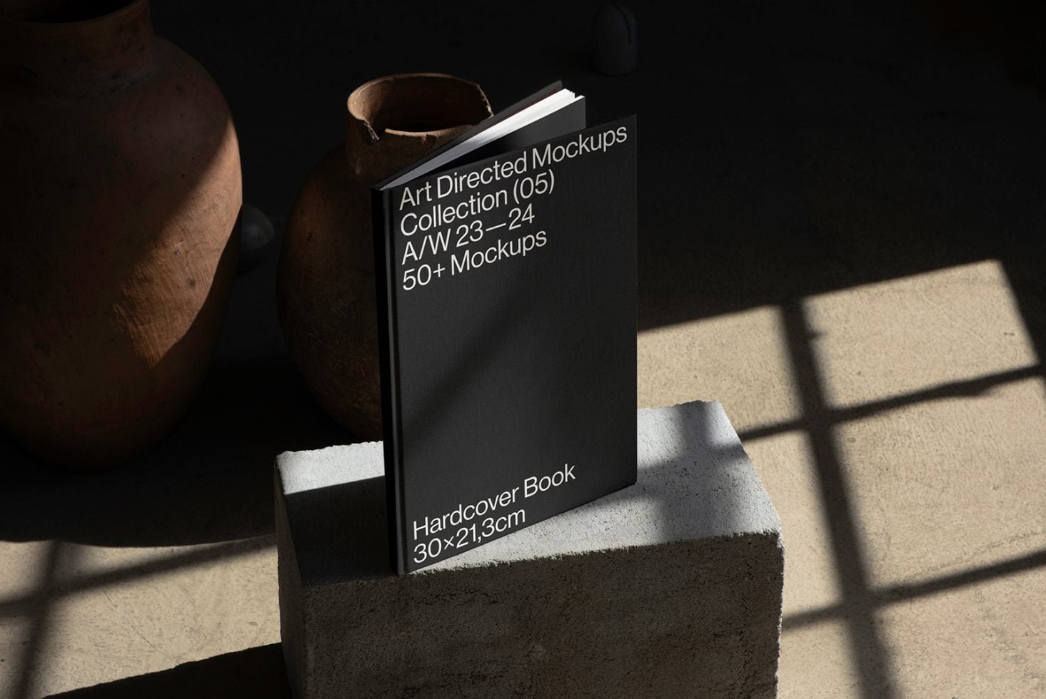 Book C05 Mockup 023