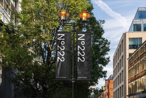 N°222