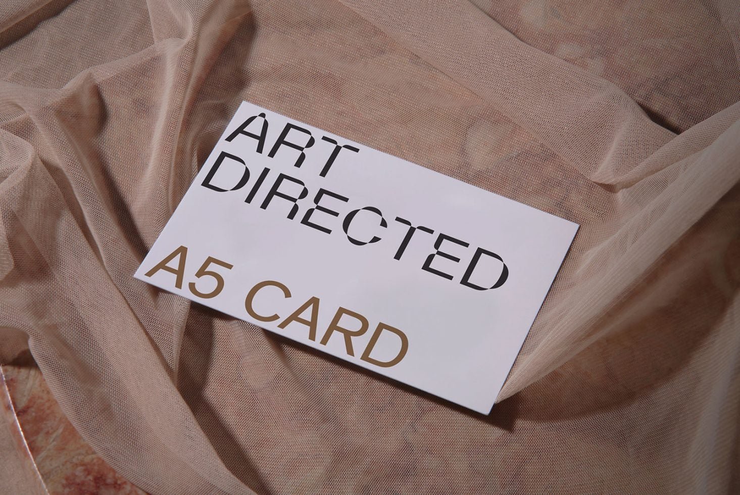 A5 Card C01 Mockup 005