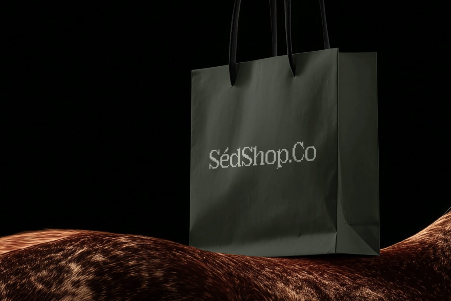 Paper Bag D03 Mockup preview 5