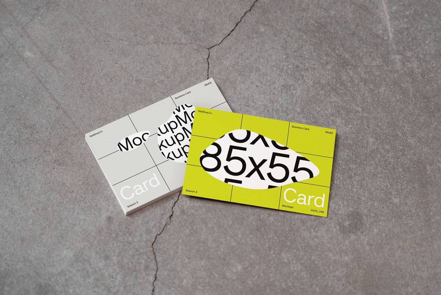 Business Cards S2 045 Mockup