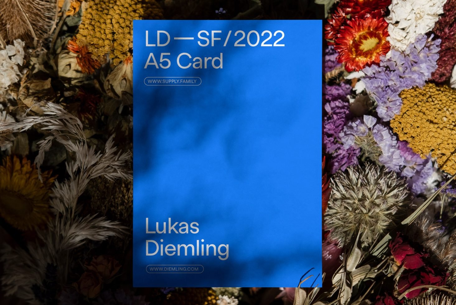 A5 Card 03 Mockup preview 2