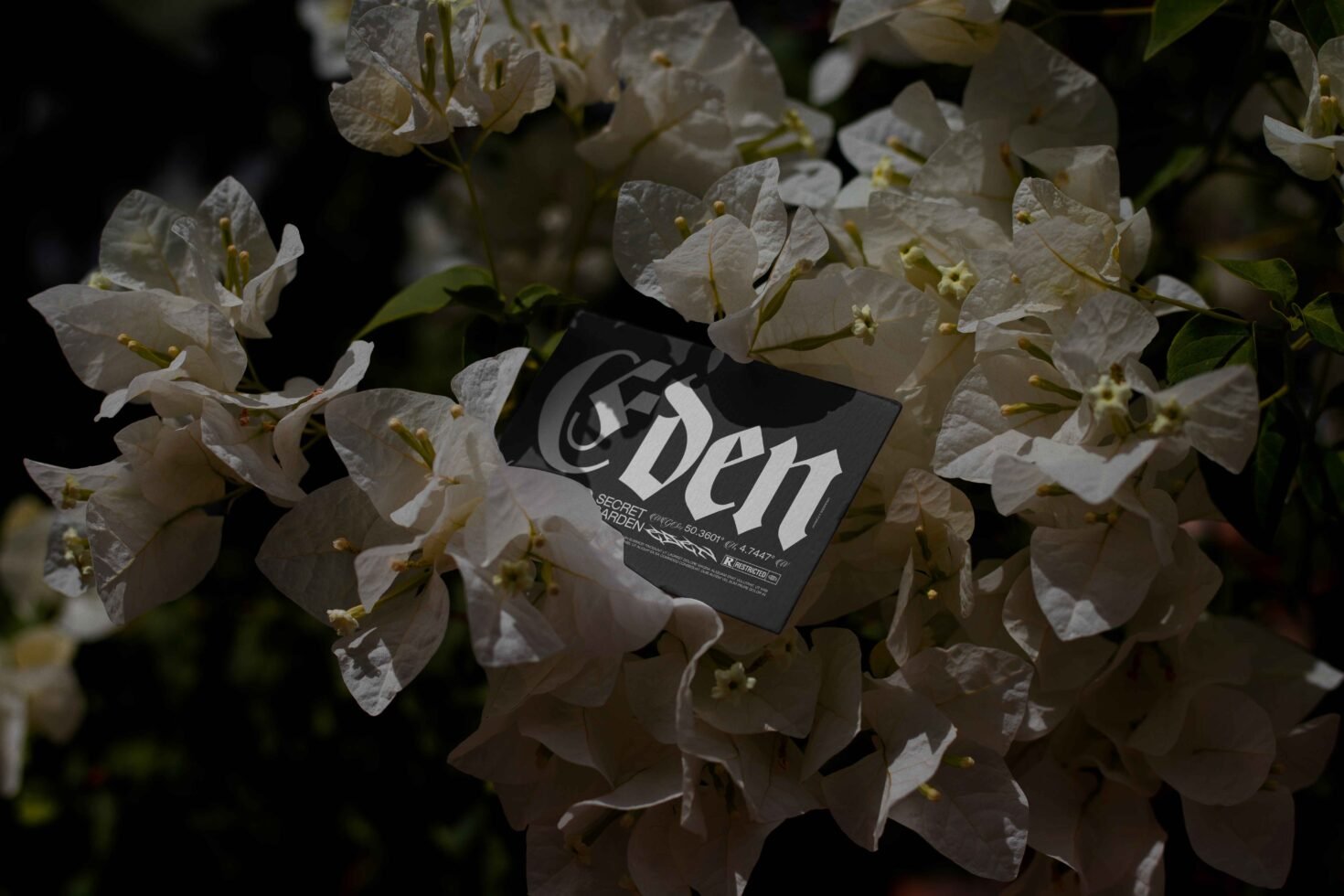 EDEN 02 BUSINESS CARD MOCKUP 12