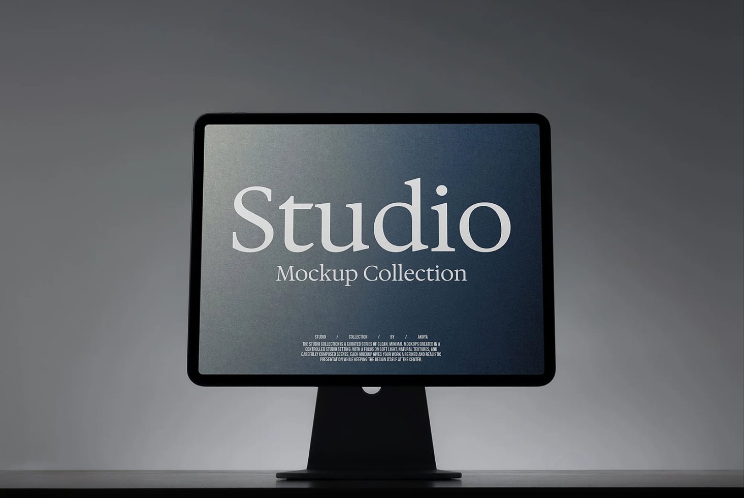 iPad Mockup 017