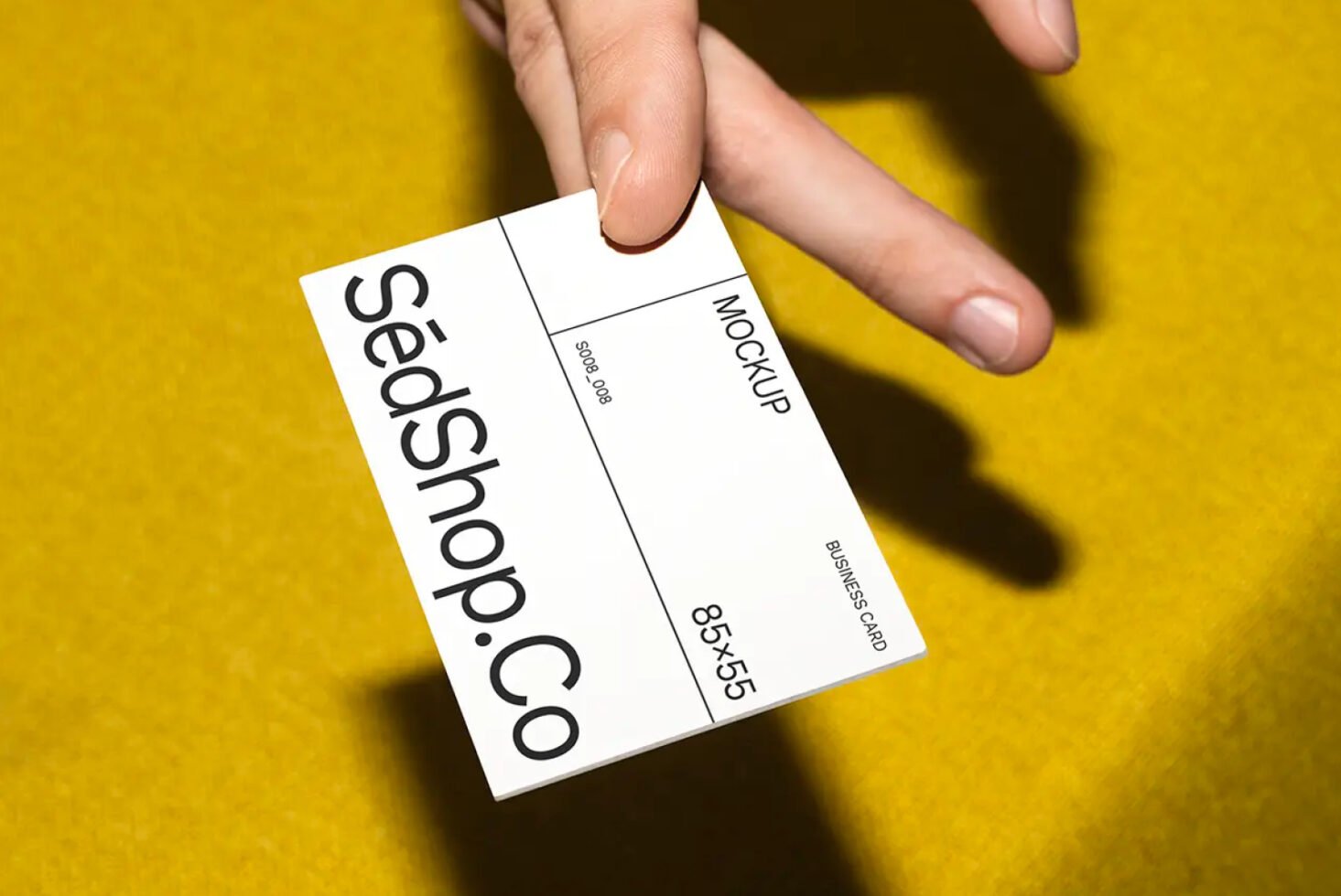 Business Card Mockup S008-008 preview 2