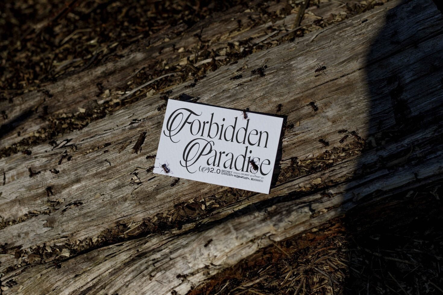 EDEN 02 BUSINESS CARD MOCKUP 17